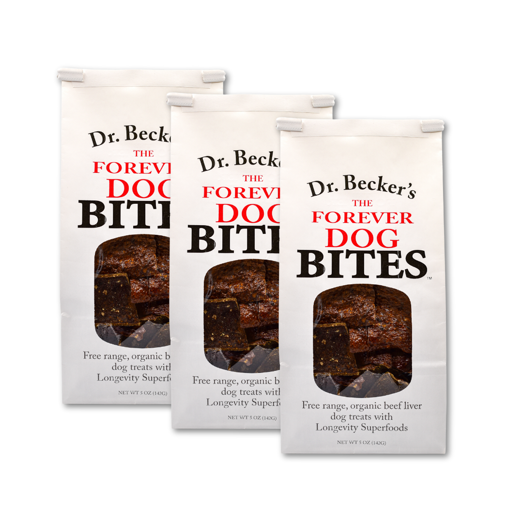 Forever Dog Bites- 3 pack- Buy Bulk & Save