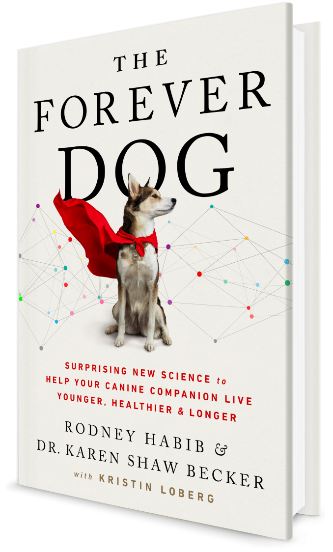 The Forever Dog Book (signed copy) #1 New York Times BEST SELLER