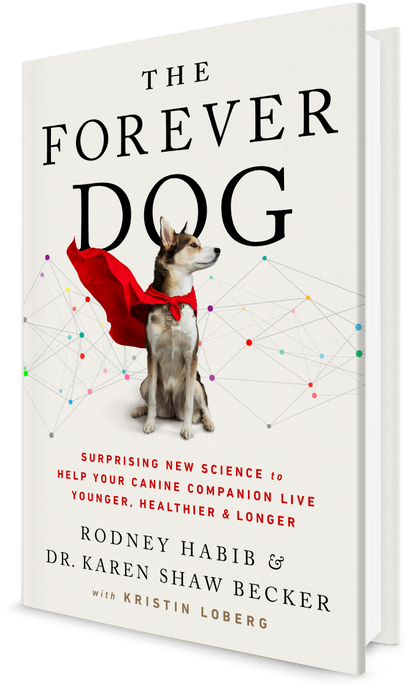 The Forever Dog Book (signed copy)   #1 New York Times BEST SELLER