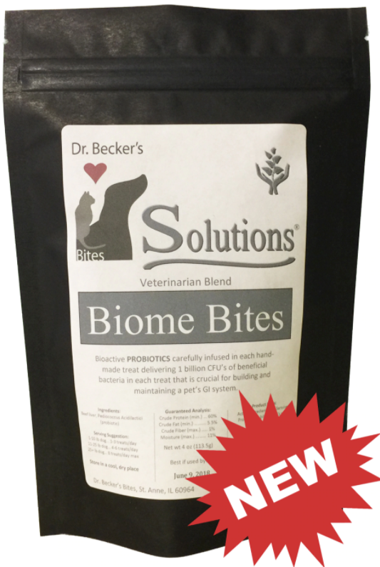 Probiotics for dogs and cats