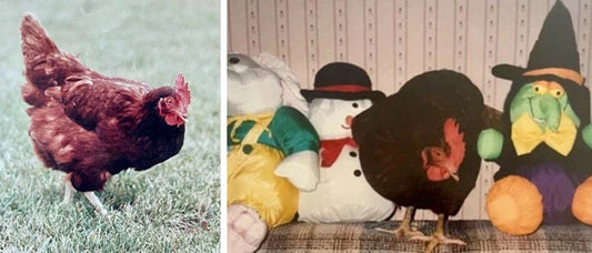 Gwen the Hen: A Basketful of Joy and a Heart Full of Purpose