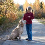 An Inside Look at Positive Dog Training with Pet Treats