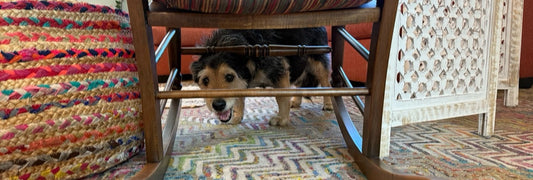 When Time Stood Still: Homer's Stroke and the Road to Recovery