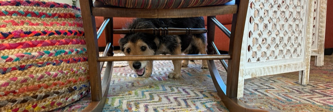 When Time Stood Still: Homer's Stroke and the Road to Recovery