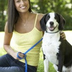 The Secret to Dog Training