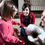 Two Common Dog Care Tips to Consider Before Adopting a Pet