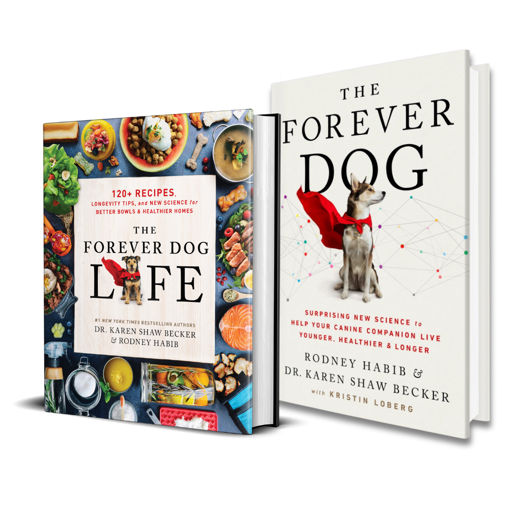 The Forever Dog Life and Forever Dog (signed copies) New York Times BEST SELLERS