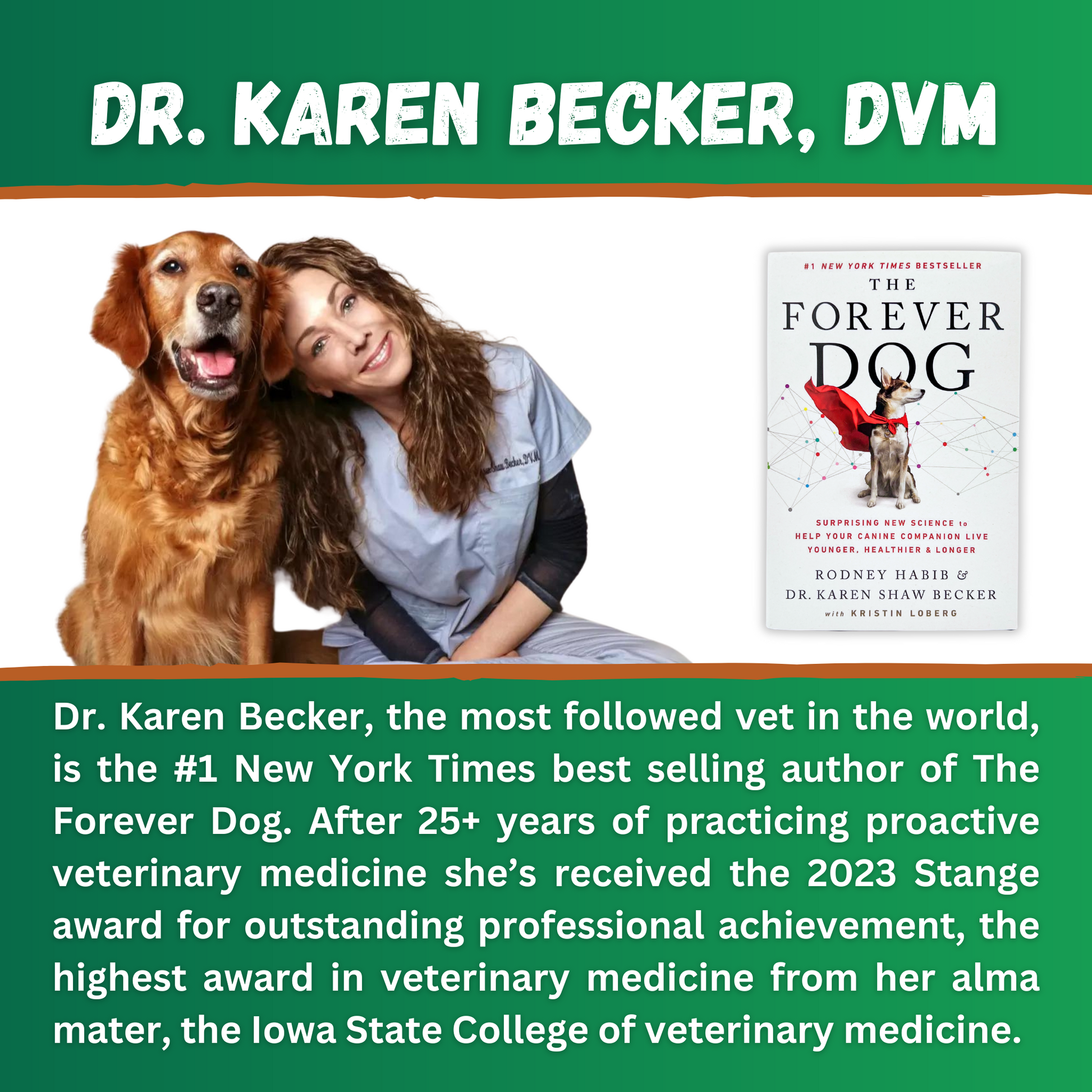 Dr karen sales becker dog nutrition