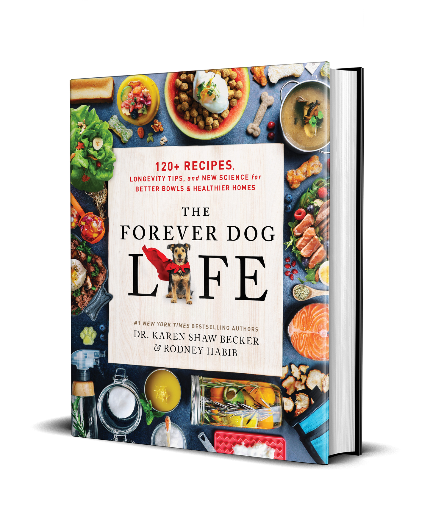 The Forever Dog Life and Forever Dog (signed copies) New York Times BEST SELLERS