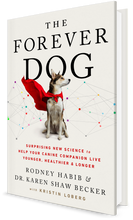 Load image into Gallery viewer, The Forever Dog Book (signed copy)   #1 New York Times BEST SELLER
